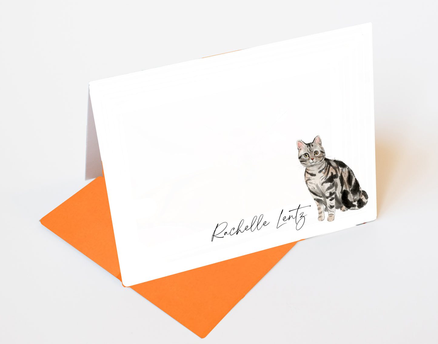 American Shorthair Cat Folded Note Cards