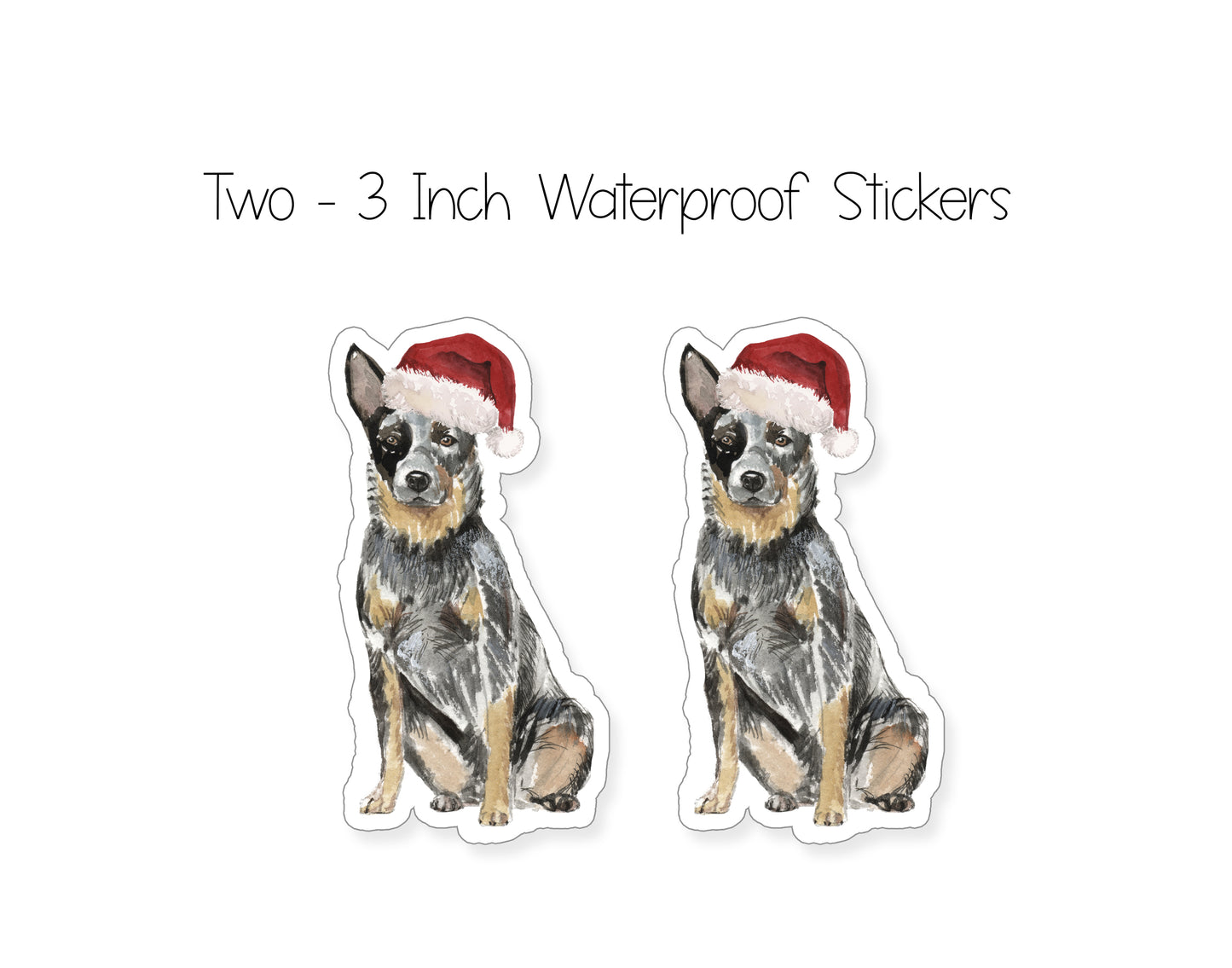 Australian Cattle Dog Christmas Cards and Stickers