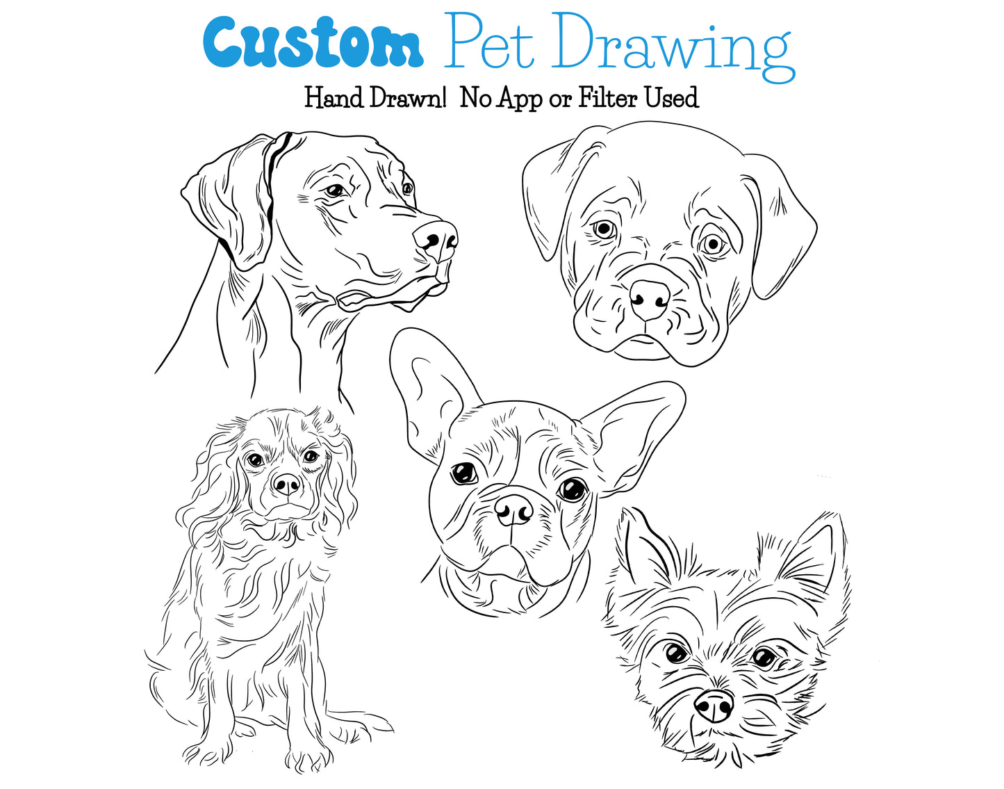 Custom Pet Sketch Notepad - Card - Stickers