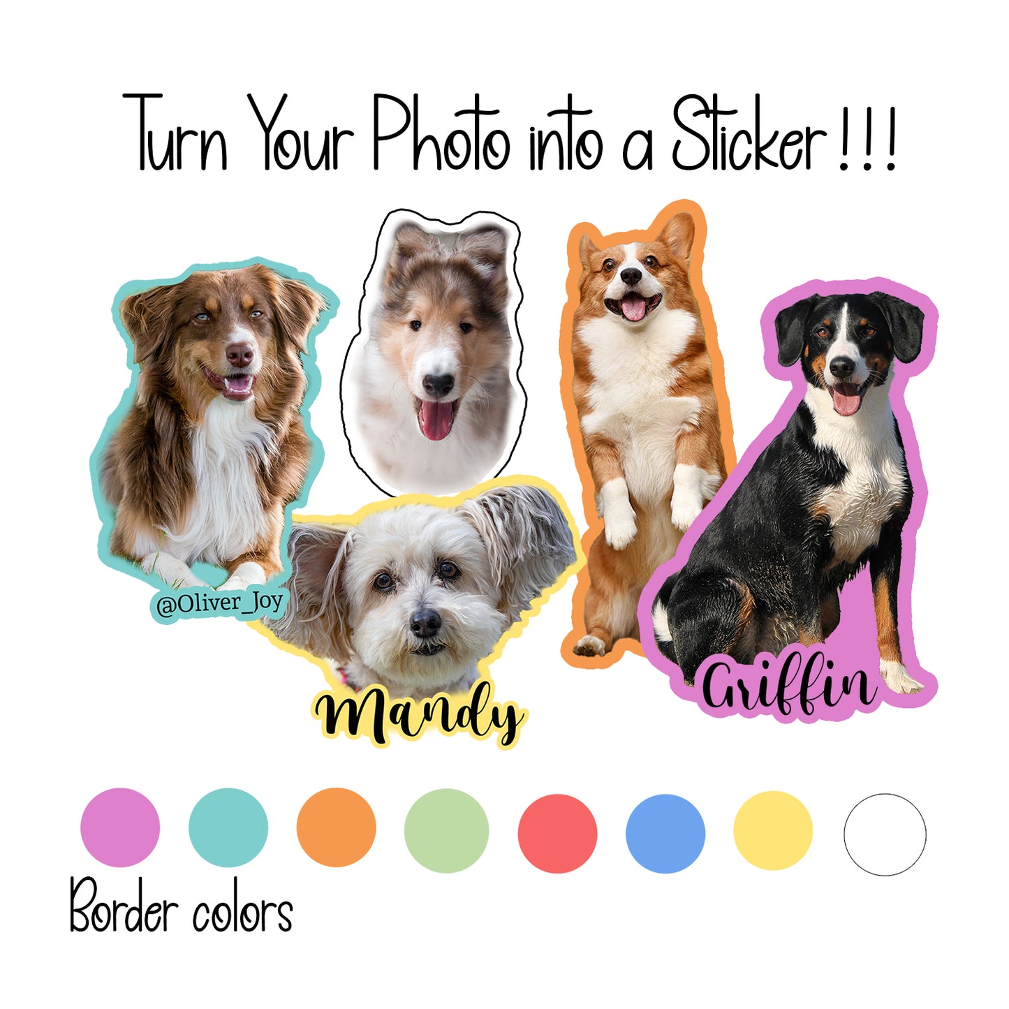Custom Pet Sticker from a Photograph