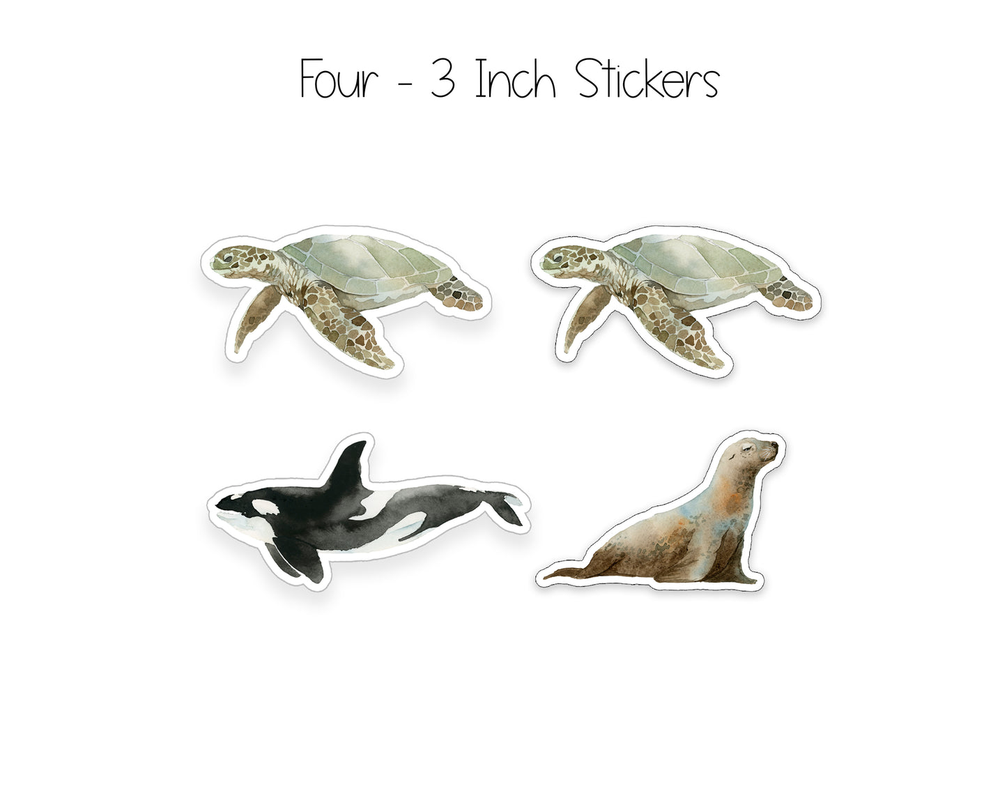 Turtle Notepad, Card and Stickers