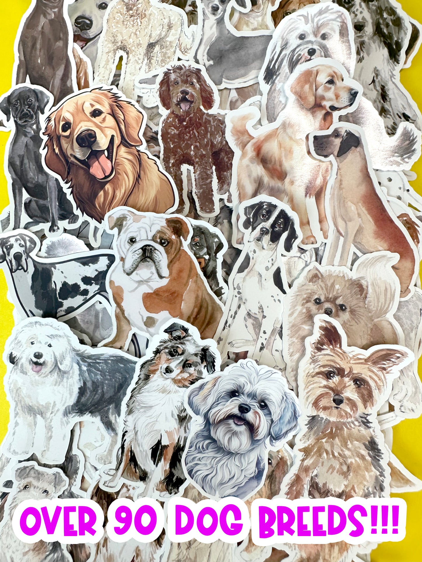 Black and Tan Dachshund Folded Note Cards and Stickers