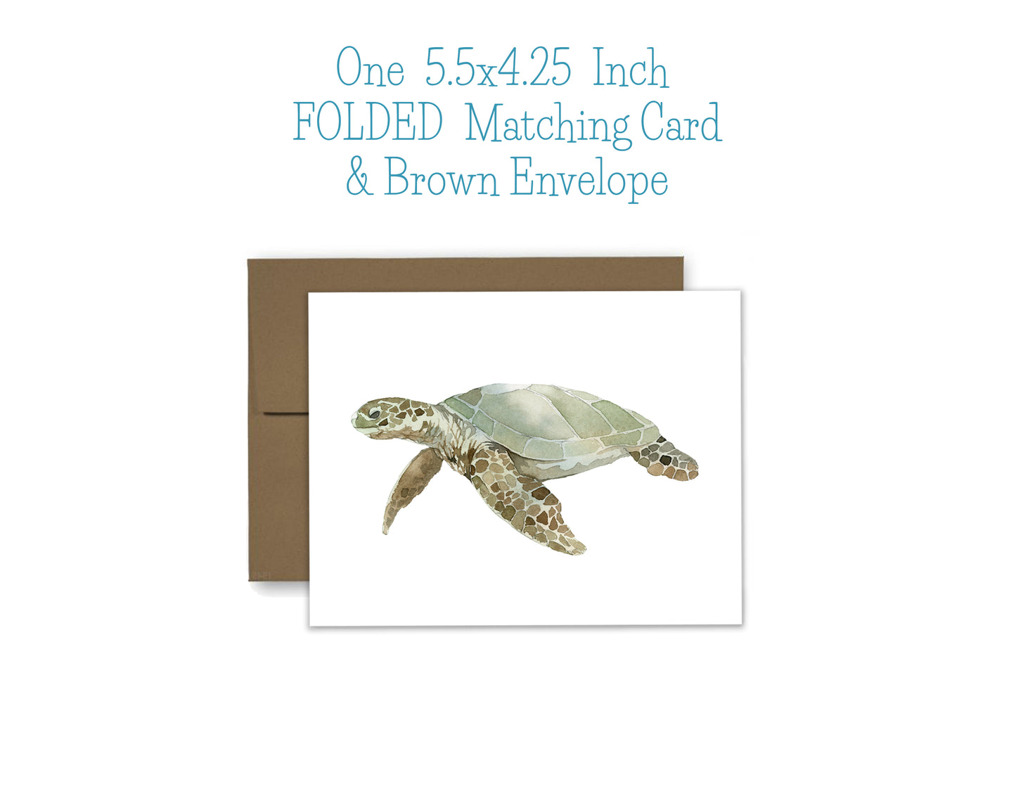 Turtle Notepad, Card and Stickers