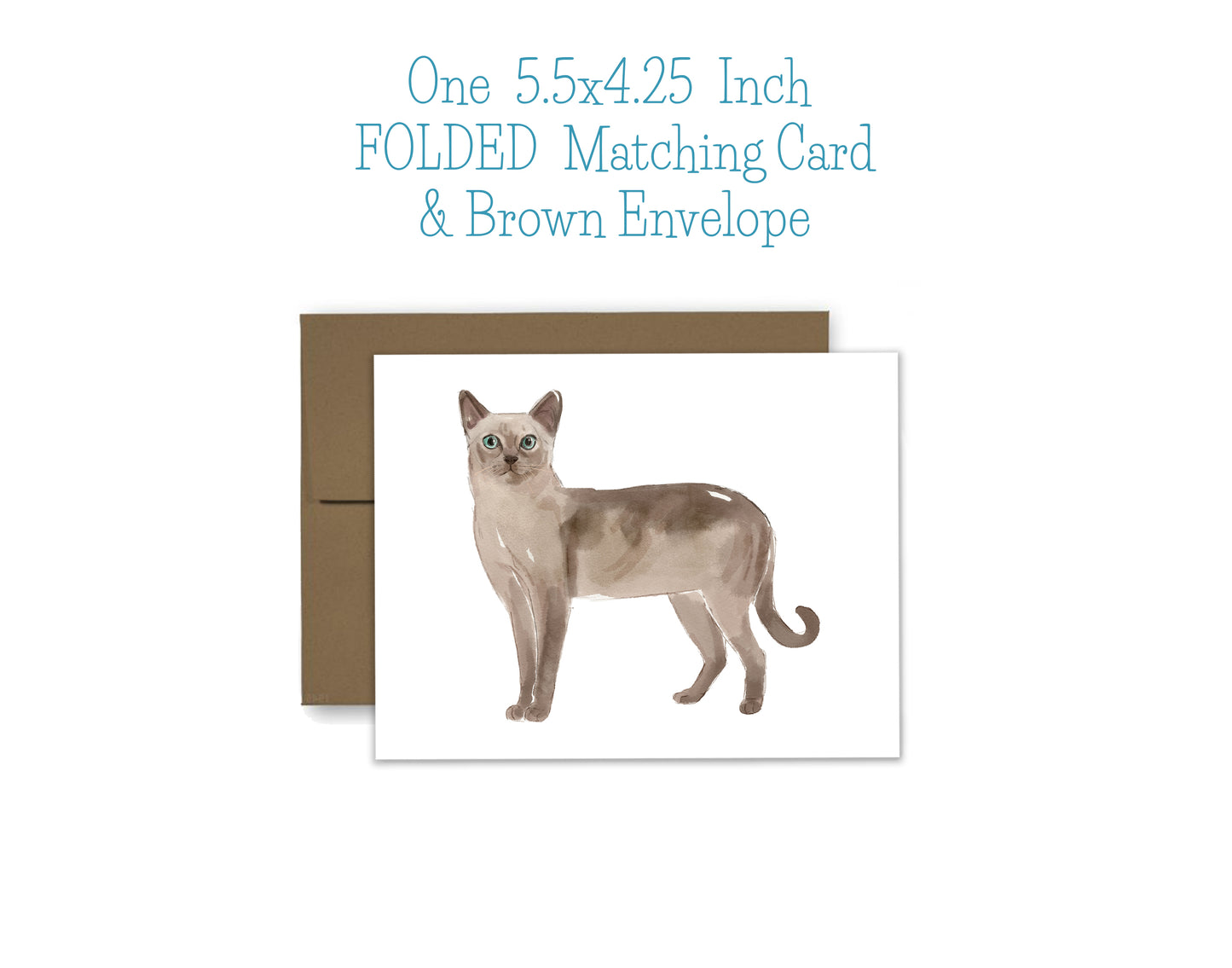 Short Hair Cat Notepad and Stickers