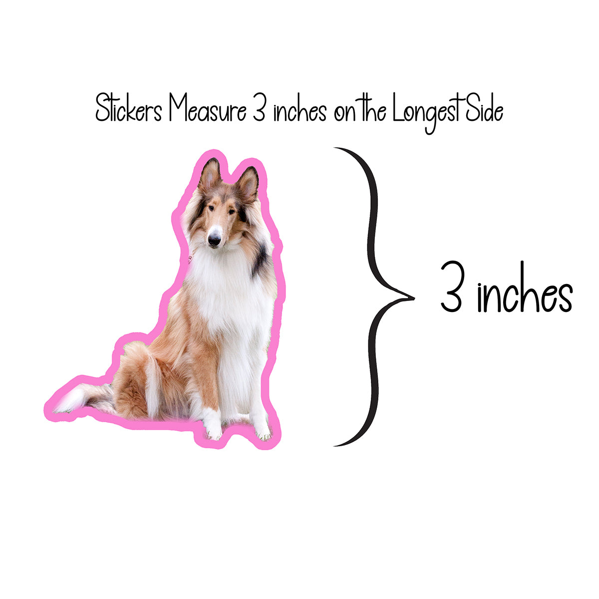 Custom Pet Sticker from a Photograph