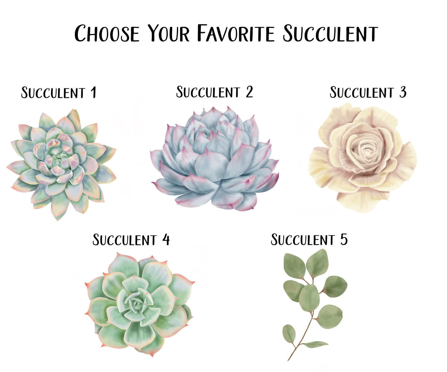 Succulent Notepad, Card and Stickers
