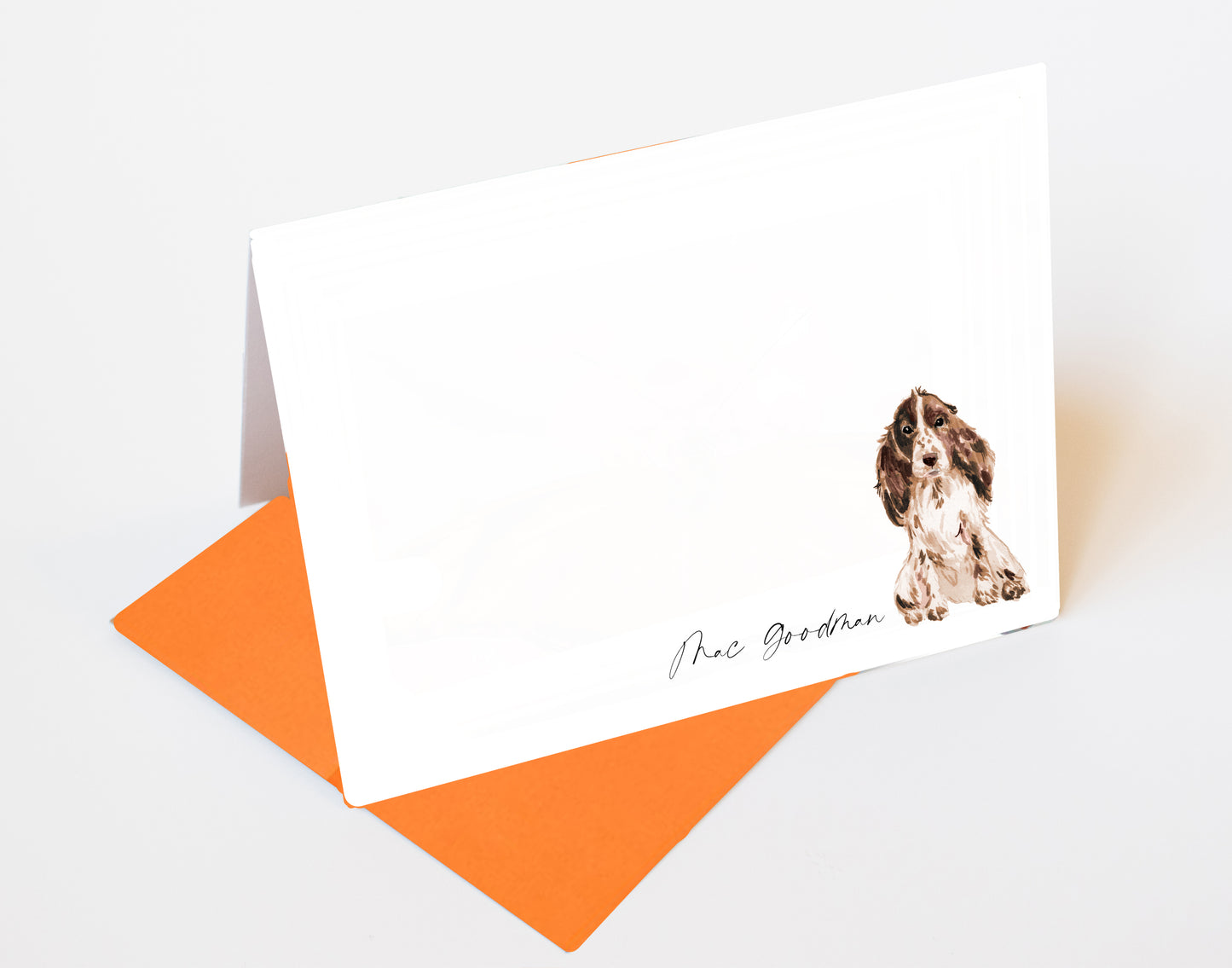 Red and White Cocker Spaniel Folded Note Cards and Stickers