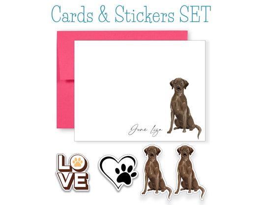Chocolate Labrador Folded Note Cards and Stickers